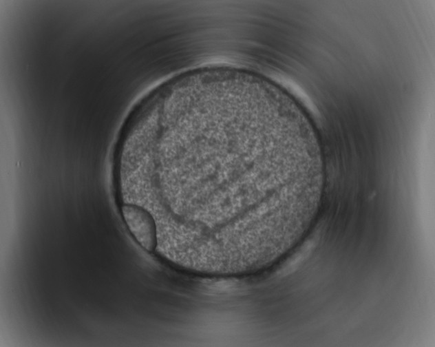 X0000092030991200710041058