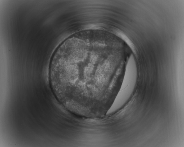 X0000092030994200710041058