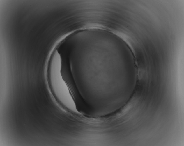 X0000092030995200710041058