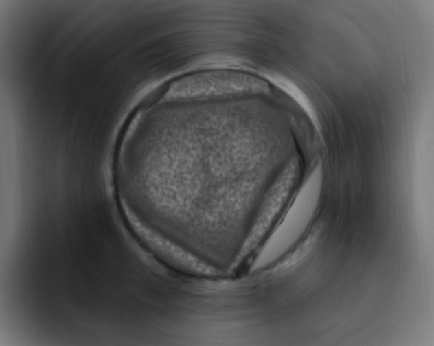 X0000092030997200710041058