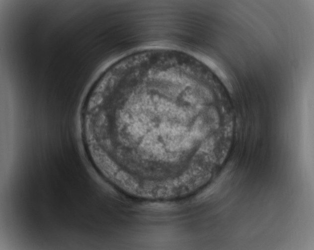 X0000092030998200710041058