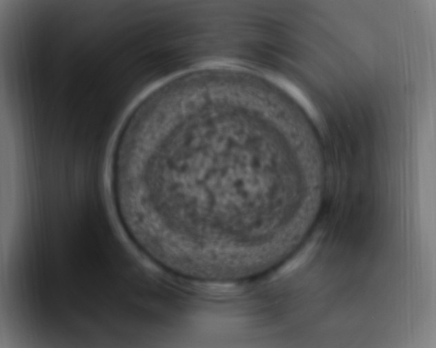 X0000092031007200710041058