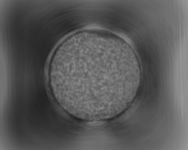 X0000092031008200710041058