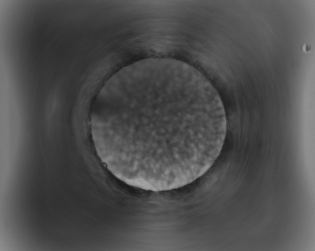 X0000092031009200710041057