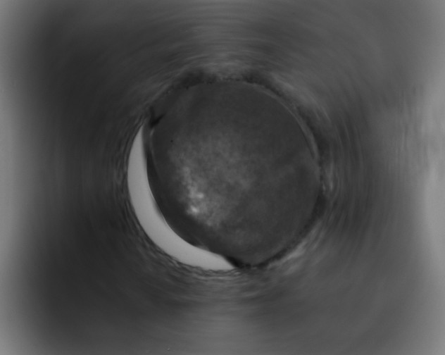 X0000092031010200710041057