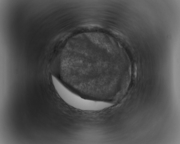 X0000092031014200710041057