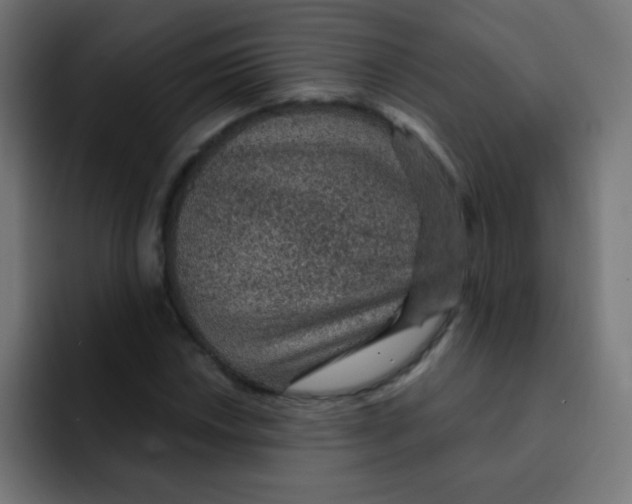 X0000092031018200710041057