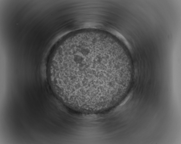 X0000092031019200710041057