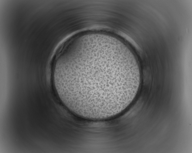 X0000092031021200710041057