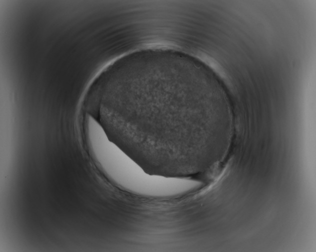 X0000092031022200710041057