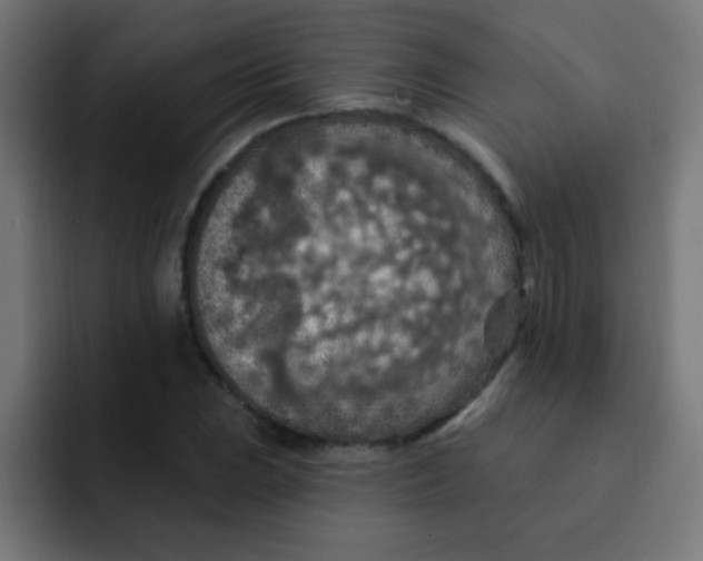 X0000092031023200710041057