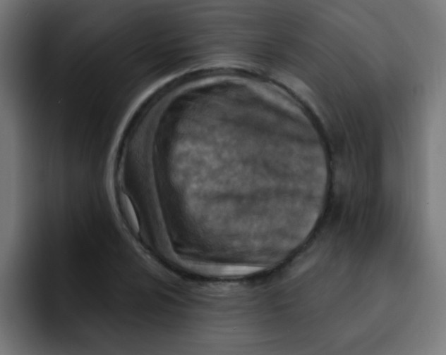 X0000092031024200710041057