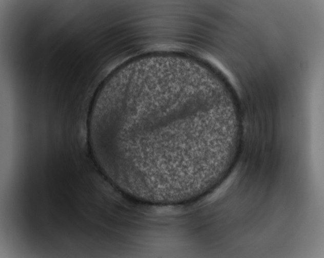 X0000092031025200710041057