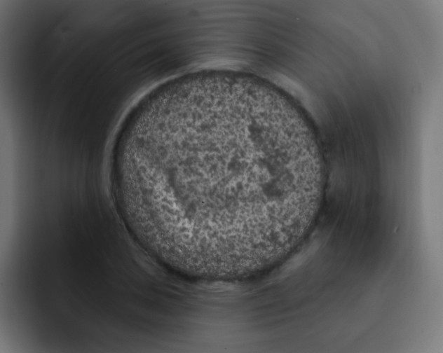 X0000092031027200710041057