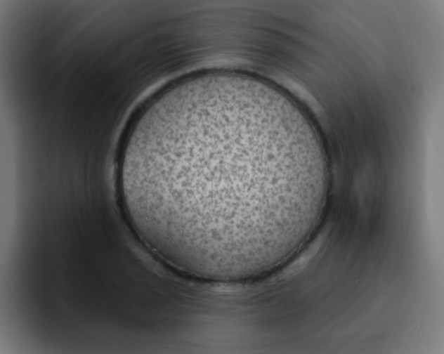 X0000092031029200710041058