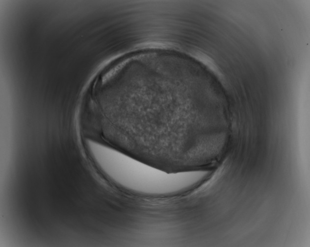 X0000092031030200710041058