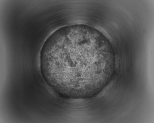 X0000092031031200710041058