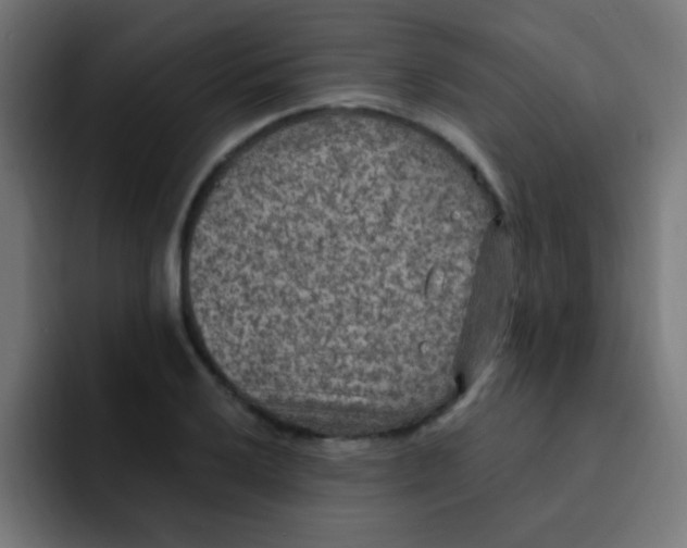 X0000092031032200710041058