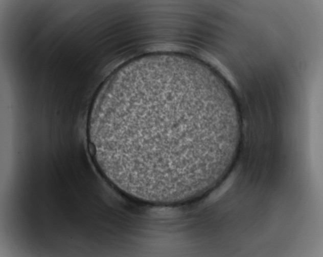 X0000092031033200710041058