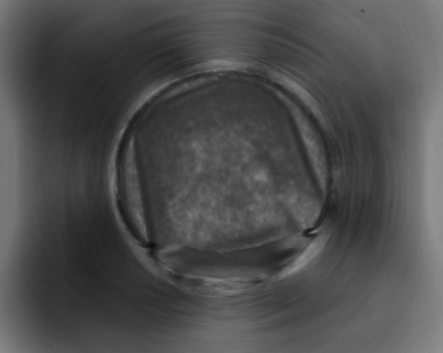 X0000092031034200710041058