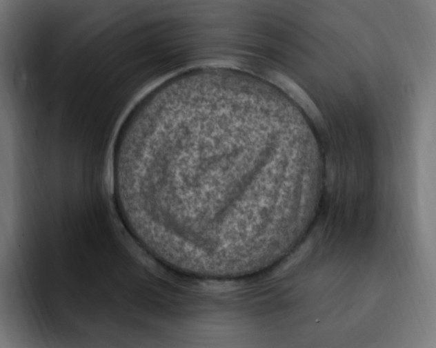 X0000092031036200710041058