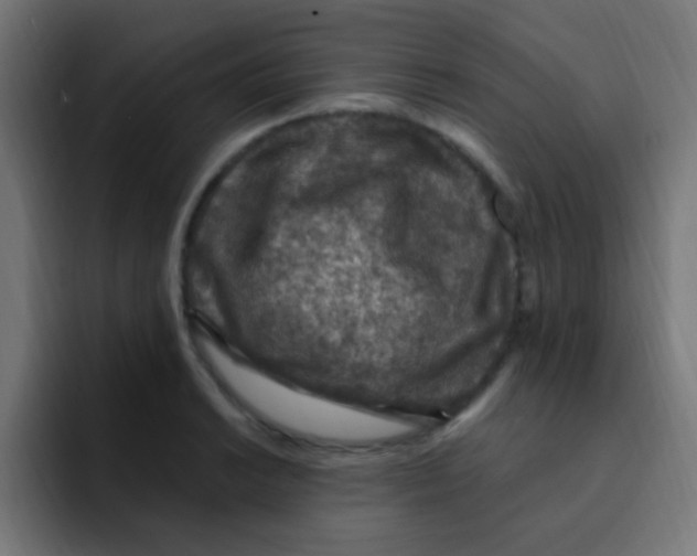 X0000092031038200710041058