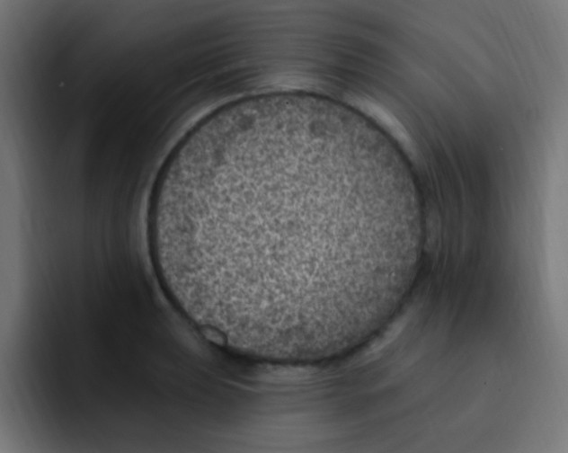 X0000092031039200710041058