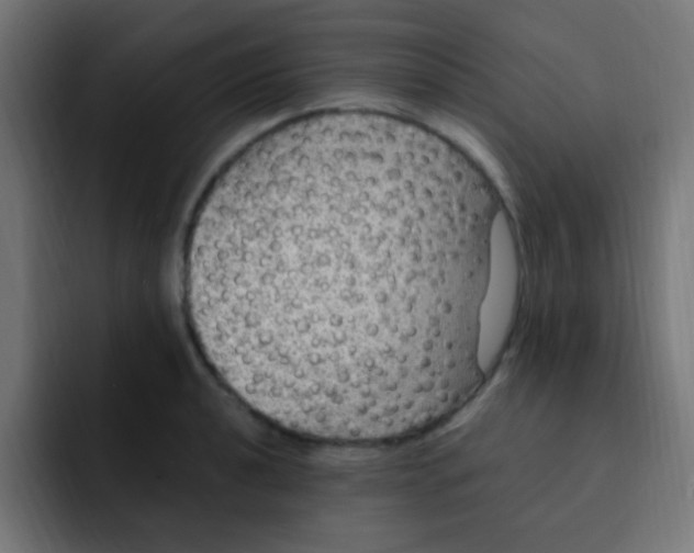 X0000092031040200710041058