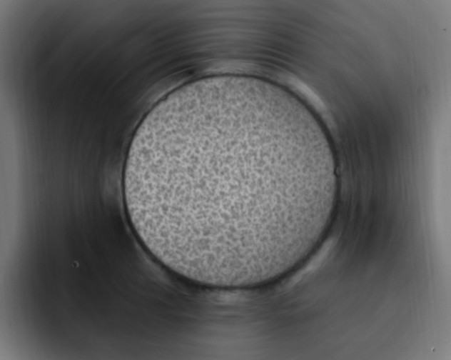 X0000092031041200710041058