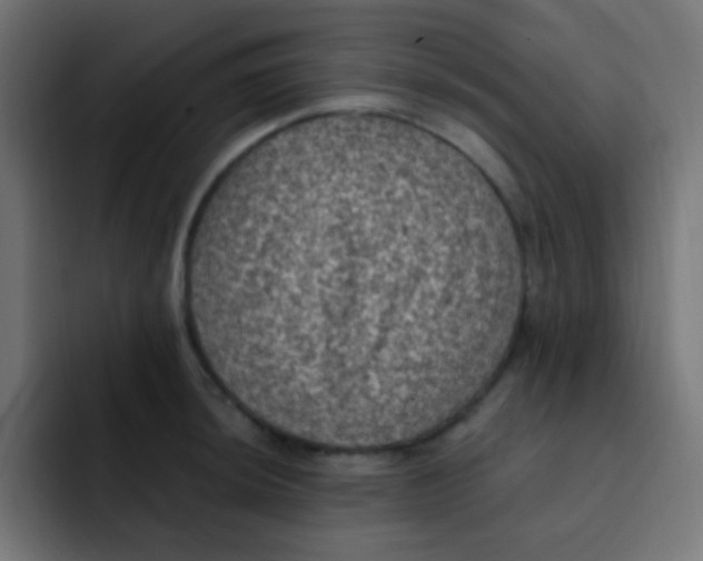 X0000092031044200710041058