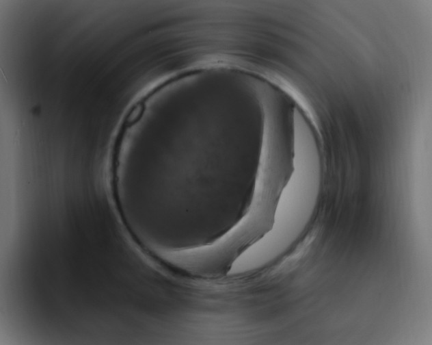 X0000092031045200710041058