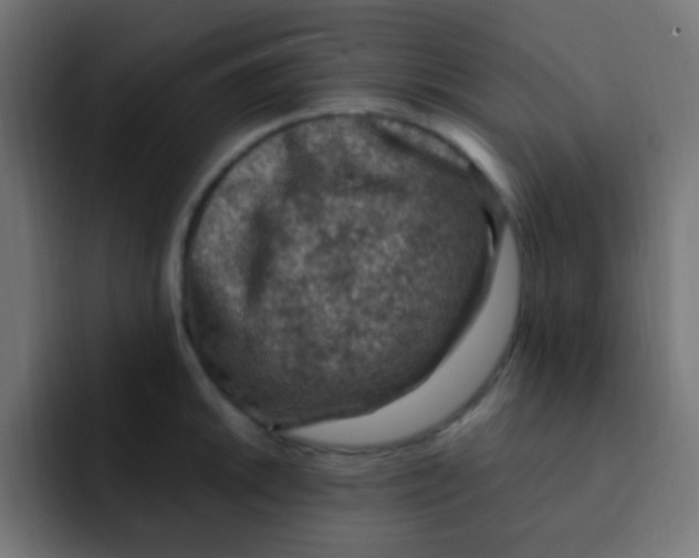 X0000092031046200710041058