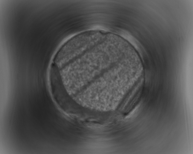 X0000092031048200710041058