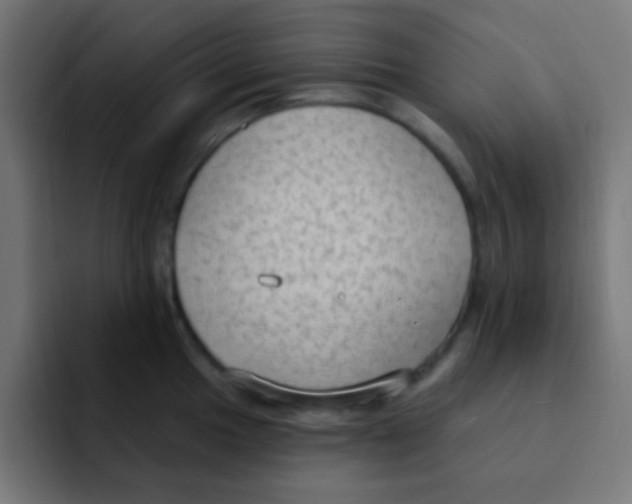 X0000092031049200710041058