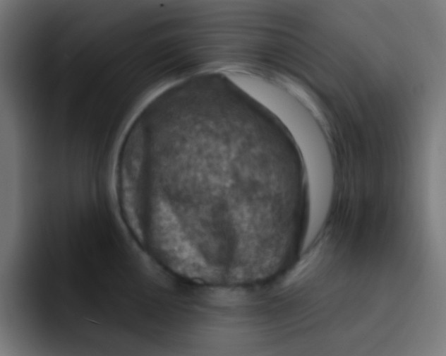 X0000092031050200710041058