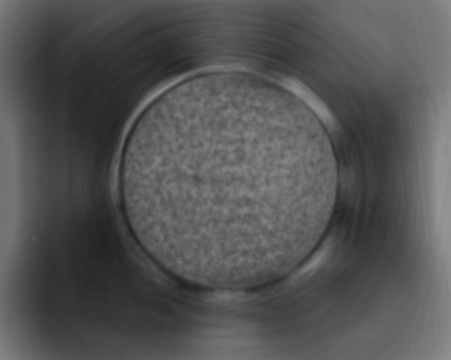 X0000092031052200710041058