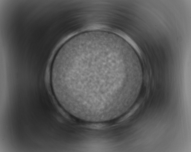 X0000092031053200710041058