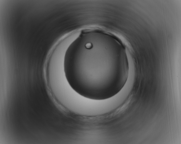 X0000092031054200710041058