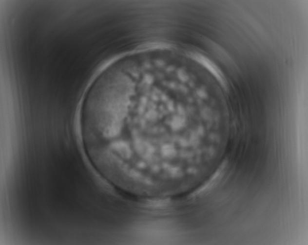 X0000092031055200710041058