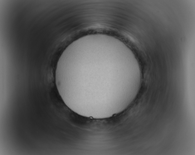 X0000092031062200710041057