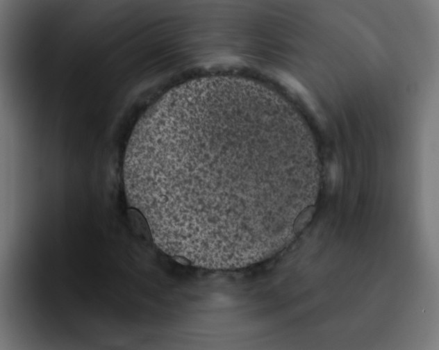 X0000092031063200710041057