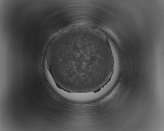 X0000092031065200710041057