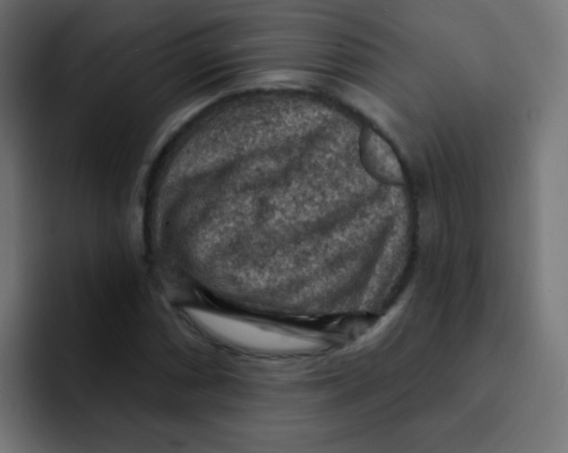 X0000092031066200710041057