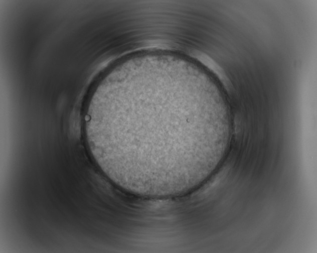 X0000092031067200710041057