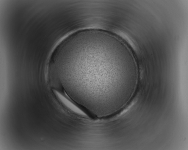 X0000092031069200710041057