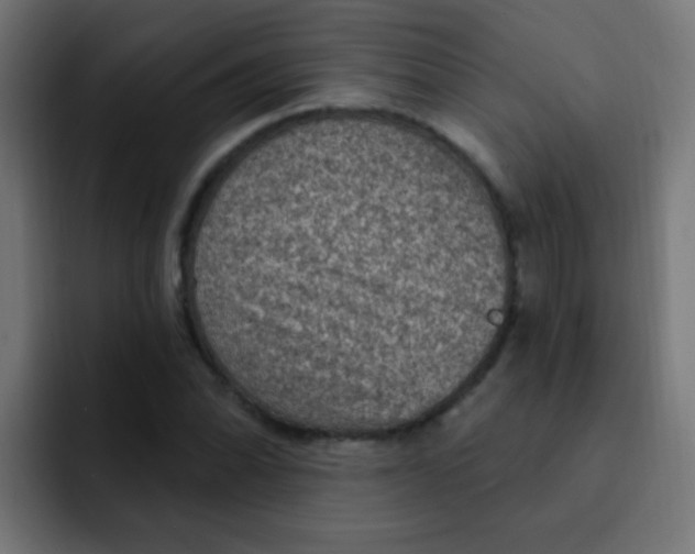 X0000092031070200710041057