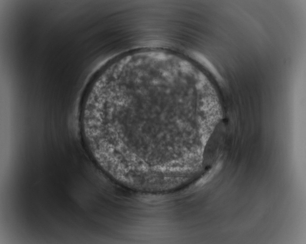 X0000092031071200710041057