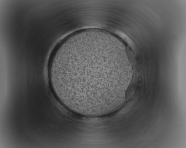 X0000092031072200710041057