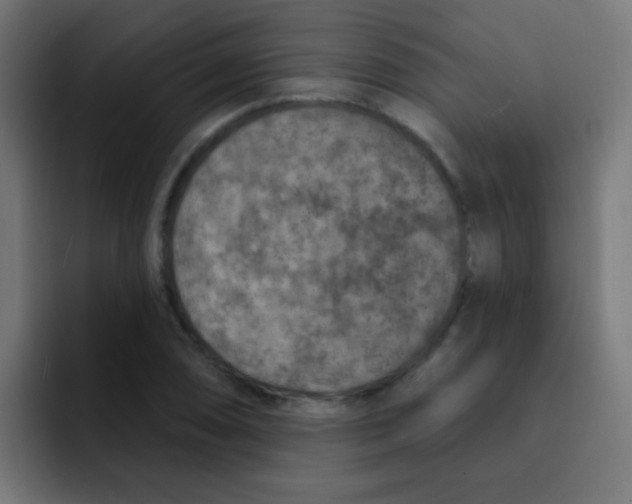 X0000092031074200710041057