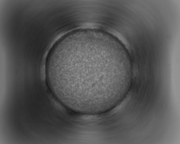 X0000092031075200710041057